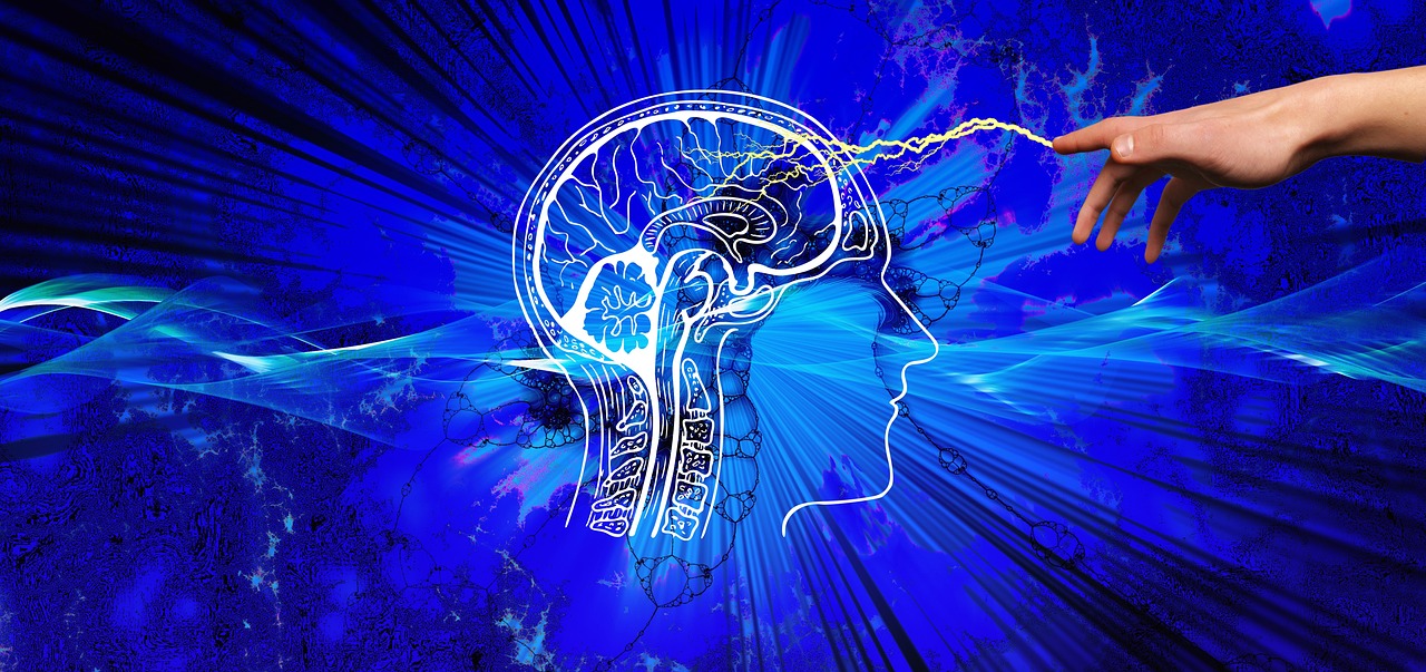 Wealth Signal Audio business image in New York, New York